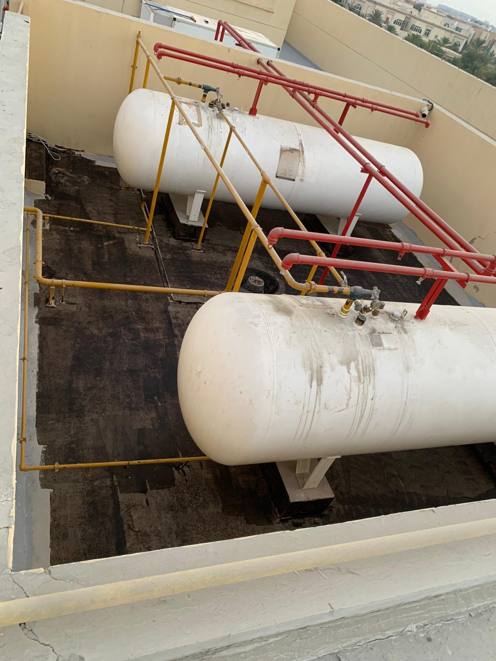 WhatsApp Image 2025-09-11 at 7.18