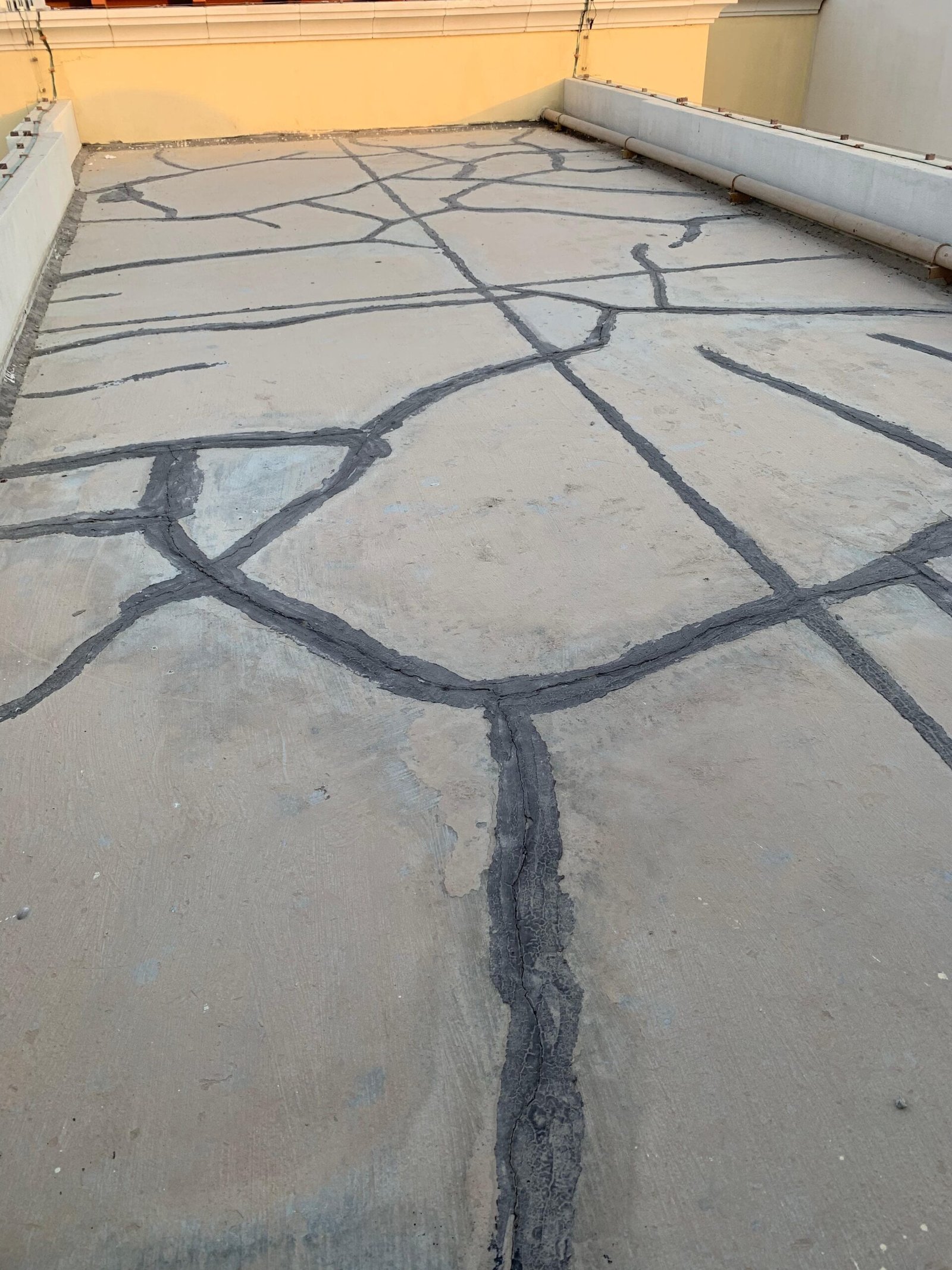 WhatsApp Image 2025-09-11 at 7.18