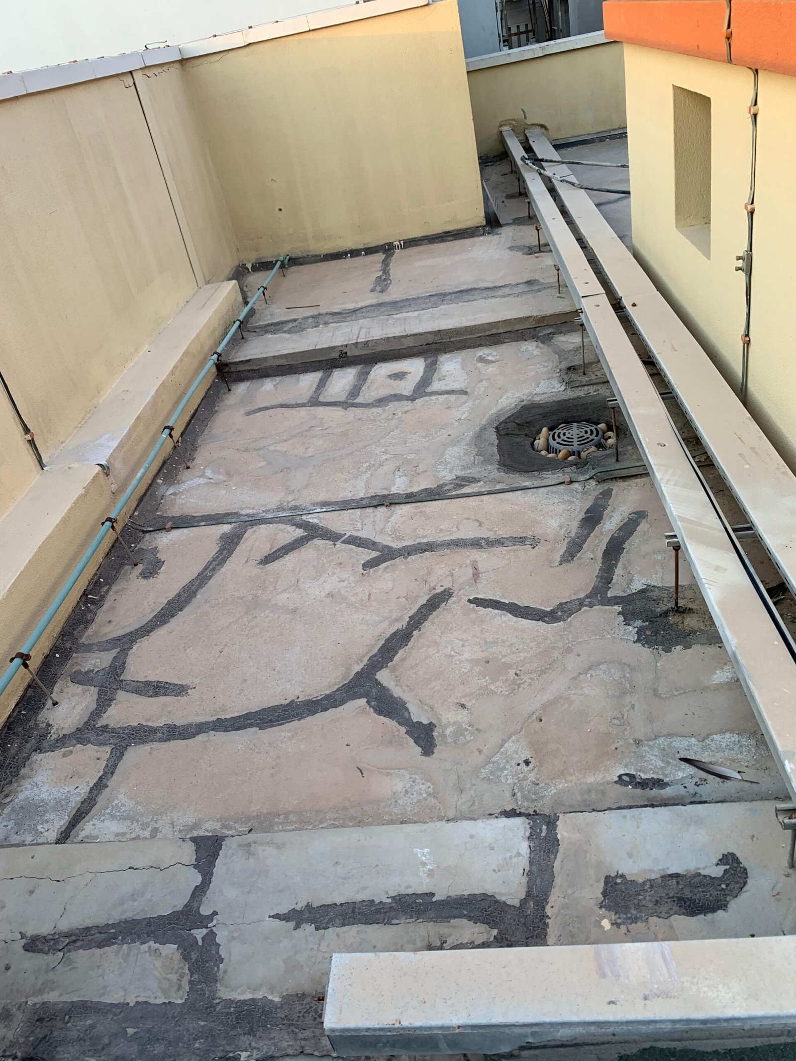 WhatsApp Image 2025-09-11 at 7.18