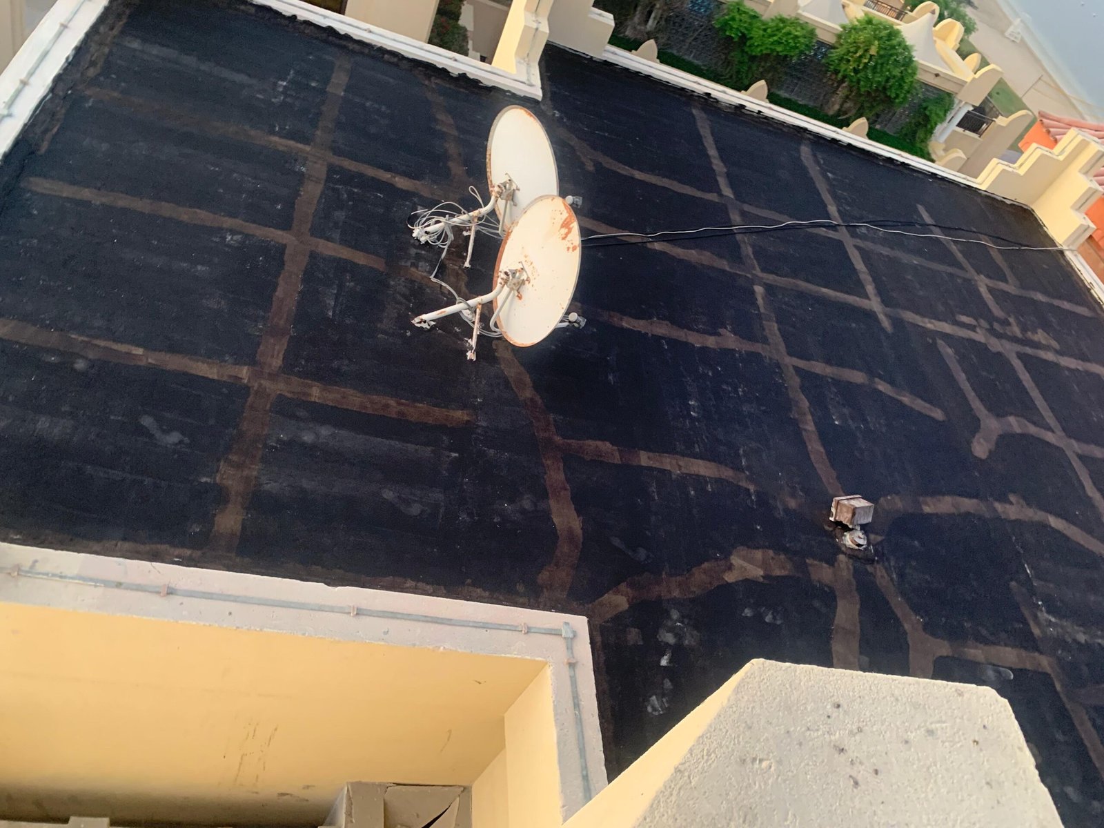 WhatsApp Image 2025-09-11 at 7.18