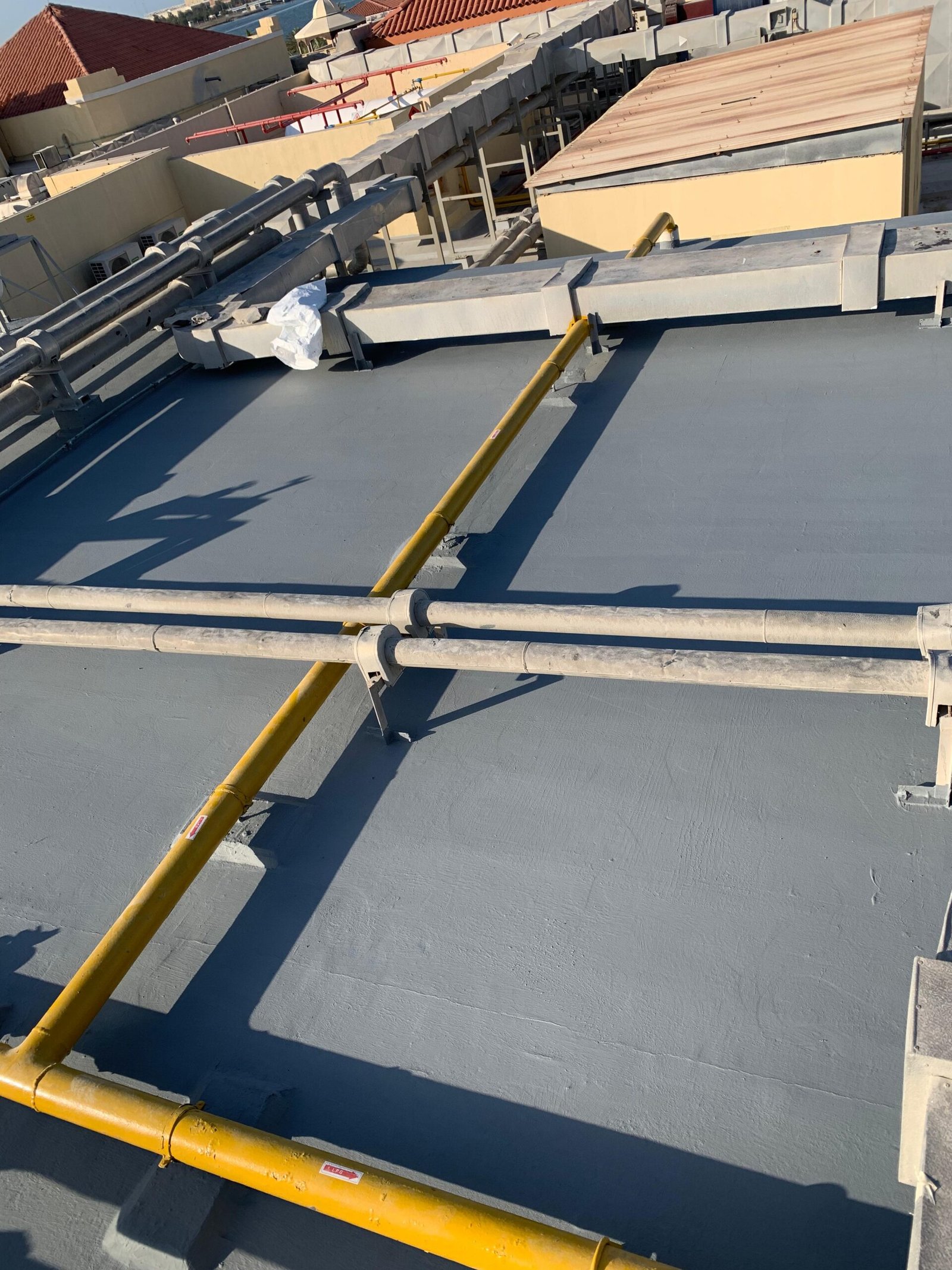 WhatsApp Image 2025-09-11 at 7.18